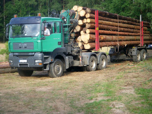 EXPO I. - těžba - výkup - doprava dřeva
