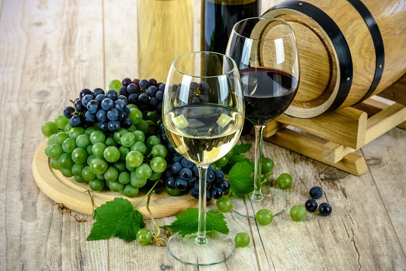 Vína z moravských rodinných vinařství ve vinotéce Dionýsův nektar