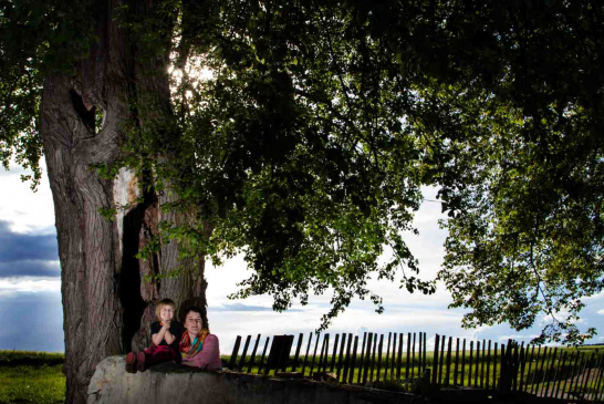 Hrušeň v Dolní radouni - památný strom