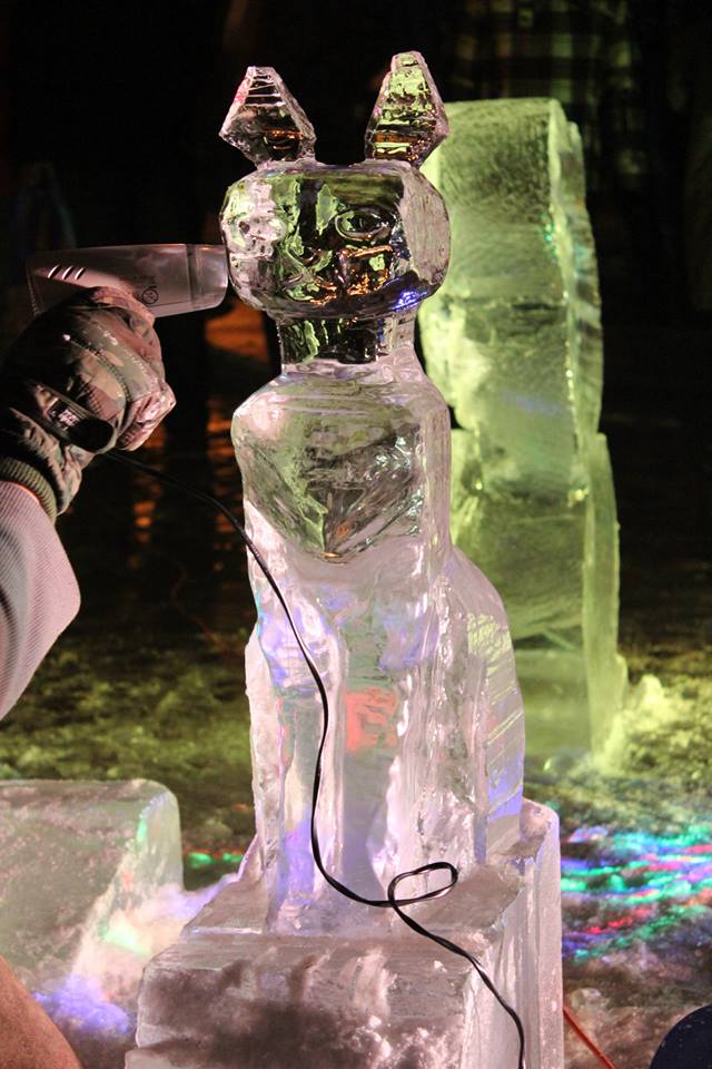 Vaše fotogalerie z ledového sochání - Autor: Sláva Rejthar
