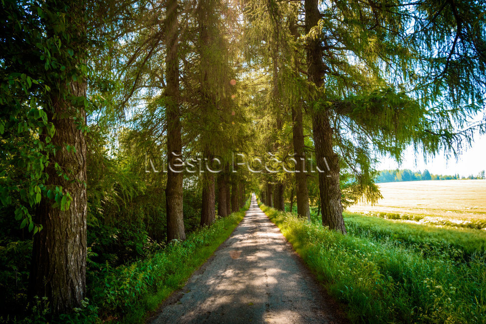 Počátky Hradecžije.cz