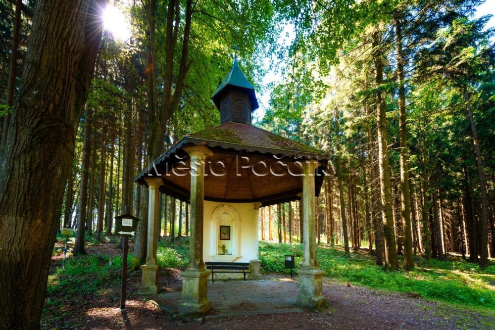 Počátky Hradecžije.cz