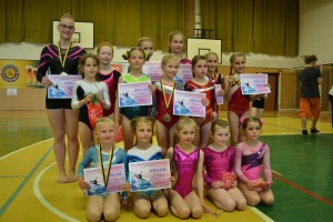 Gymnastky uspěli na šampionátu jižních Čech a Vysočiny