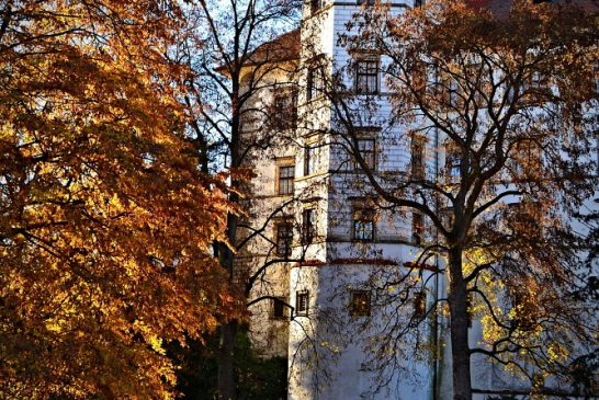 Obrazem: Listopadový Hradec od Amálie