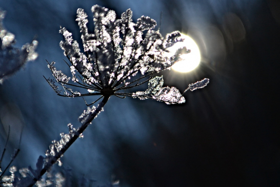 Fotila Amálie: Lednová magie sněhu a ledu v Jindřichově Hradci