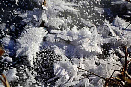 Fotila Amálie: Lednová magie sněhu a ledu v Jindřichově Hradci