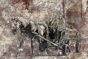 kůň povoz bryčka vůz horse-2372709_1280_WP