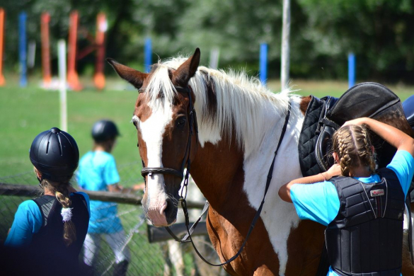 Fotila Amalie: Jezdecke hry v Jindrisi