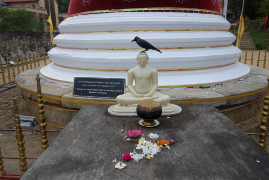 Srí Lanka – Púdža v chrámu Buddhova zubu a nenasytný mnich (cestování s Kateřinou Duchoňovou #8)_Kandy6