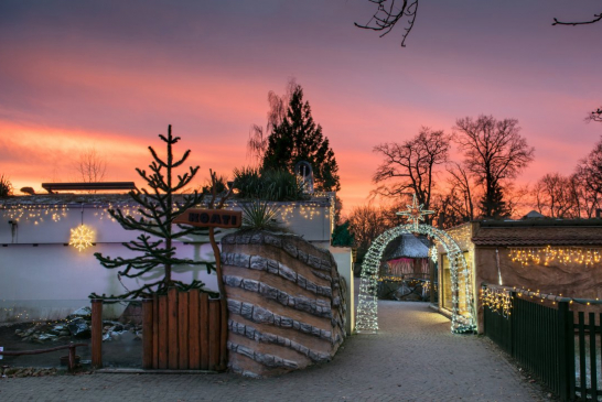 Zoo Hluboká je vánočně nasvícená