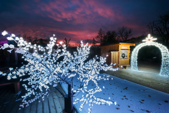Zoo Hluboká je vánočně nasvícená