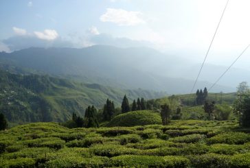 Darjeeling – pestrá směs kultur, čajové plantáže a unikátní úzkokolejka v podhůří Himálají (cestování s Kateřinou Duchoňovou #9)