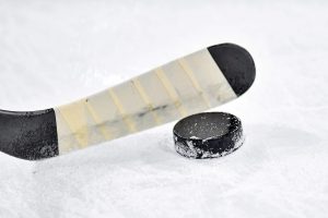 lední hokej 