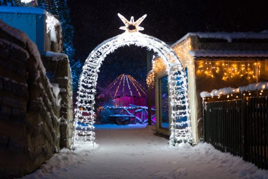 Zoo Hluboká bude vánočně nasvícena