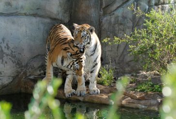Prázdniny začínají v zoo | Zoo Hluboká