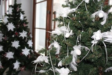 Výstava vánočních stromků | Muzeum fotografie a MOM